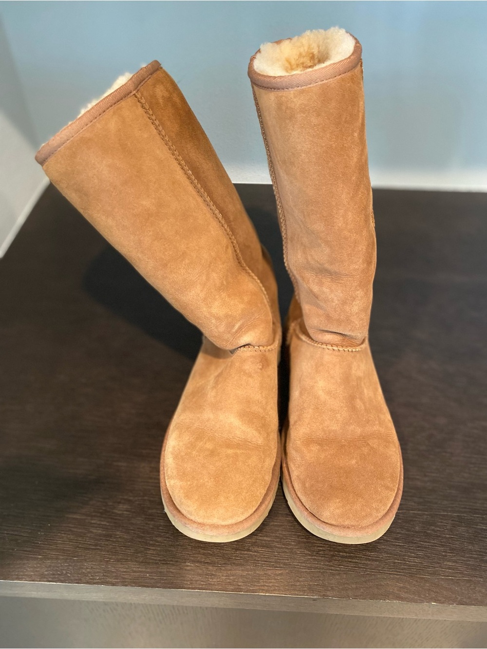 UGG Chestnut Suede Tall Boot Pair